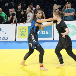 2025 BALTIC OPEN GRAPPLING GI/NOGI CHAMPIONSHIP – 176