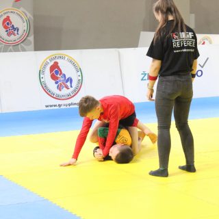 BALTIC OPEN GRAPPLING GI/NOGI CHAMPIONSHIP – 243
