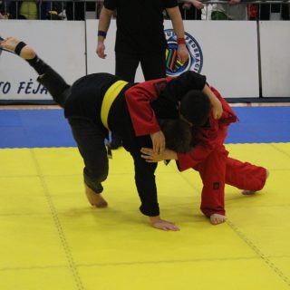 IGF WORLD SUBMISSION GRAPPLING GI/NOGI CHAMPIONSHIP – 534