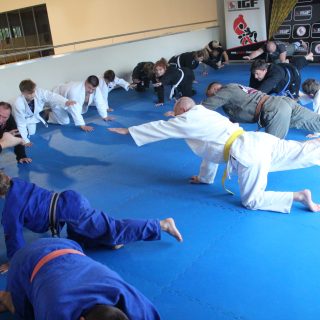INTERNATIONAL GRAPPLING SPORTS CAMP "PALANGA-2025" – 343